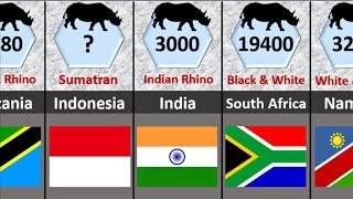 Rhinoceros Population Country Wise