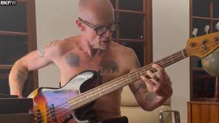 Flea Playing Jaco Pastorius! Incredible!!!