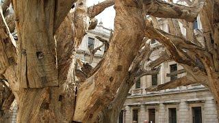 Timelapse: Installing Ai Weiwei's 'Tree'