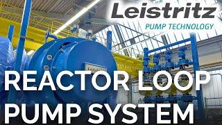 Leistritz Screw Pump Skid for Polymer Reactor Loops - Highly Complex Chemical Application