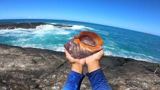 NUNCA SUBESTIME ESSA ISCA NO MAR, o PEIXE GRANDE não RESISTE!!! Pescaria de costão | ROCK FISHING.