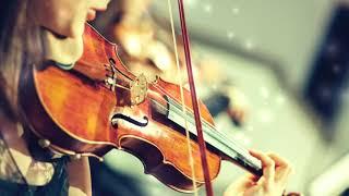 Mozart Violin Symphony 10 Hours - Relaxing Classical Instrumental Music for Studying, Reading, Work