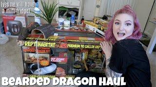 BEARDED DRAGON HAUL + SETTING UP ENCLOSURE 