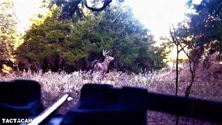 BUCK KILLED FROM GROUND UP CLOSE!!! {TACTACAM}