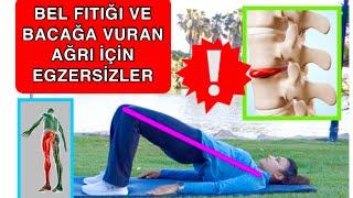 BEL FITIĞI VE BACAĞA VURAN AĞRI İÇİN EGZERSİZLER