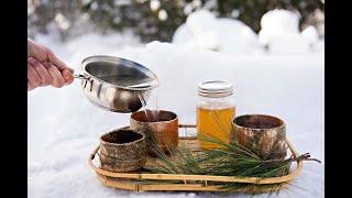 Pine Needle Tea. How to and a WARNING!