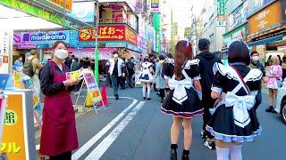 [Akihabara Walk in Tokyo]  Paradise Town  4K ASMR Nonstop 1 hour 02 minutes