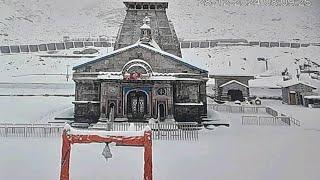 kedarnath yatra live weather update l kedarnath yatra update today | kedarnath yatra 2024 update l