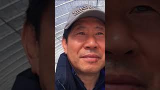 숨터의 숲속이야기