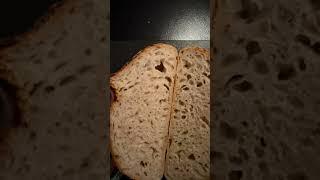 sourdough bread crumb