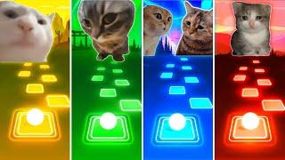 Vibing Cat vs Chipi Chipi Chapa Chapa Cat vs Talking Cats vs Sad Cat - Tiles Hop EDM Rush