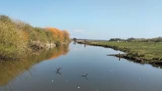 Wildfowl and Wetlands Trust, Caerlaverock, Dumfries and Galloway, Scotland, UK.