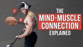 How To Use The Mind-Muscle Connection for Growth (What The Science Says)