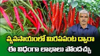 How to get profits in Mirchi Cultivation | How to Cultivate Mirchi (Mirapakayalu) | Sumantv Rythu