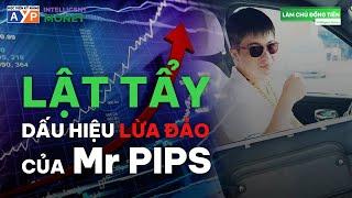 Để không bị lừa kiểu Mr Pips, phải nhớ 4 dấu hiệu (Tưởng an toàn hóa ra lừa đảo) | Intelligent Money