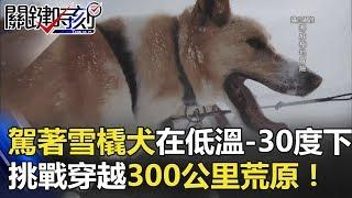 極地冒險！駕著雪橇犬在低溫-30度下 挑戰穿越300公里荒原！ 關鍵時刻 20180420-6 馬西屏