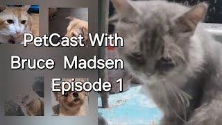 PetCast With Bruce Madsen Episode 1