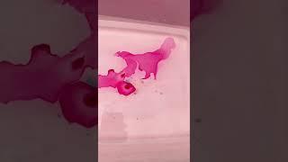  MUST TRY! DIY at home Marble effect with Nail Paint!  | Heli Ved #Shorts