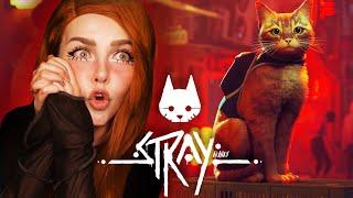 Рыжик котик в киберпанке│STRAY│ 2022【#1】