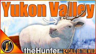 Hunting Yukon Valley to Prepare for the New Map! | theHunter Call of the Wild