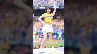 20240413 世界名曲 炸裂陳子豪應援來囉 ! ( Passion Sisters 峮峮 チュンチュン Qun )  #cheerleader #台湾チア #峮峮 #Qun