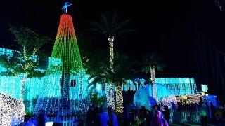 2018 SeaWorld Animated Light Show Tree