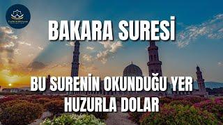 BAKARA SURESİ | OKUNDUĞU YER HUZUR DOLAR | Kuran Dinle