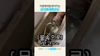 지중해처럼 맑아지는 마법의 변기 세정제  #변기세정제 #세정제 #변기청소 #생활팁 #리빙픽