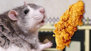 Chicken Tender (Rat Review)