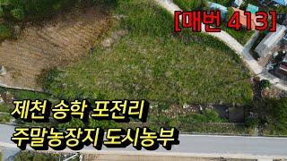 [매번 413]가격인하 제천 송학 도시농부 주말농장지 도로 전기 상수도 접한땅