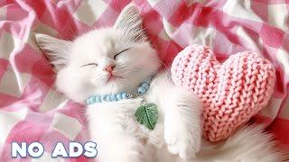 12 Hours Of Anti Anxiety Music For Cats  Stress Relief Music For Cats  Calming Music For Cats #33