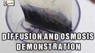 Diffusion and Osmosis | Iodine starch experiment with bag | Science Experiments | elearnin