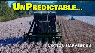 Impossible To Predict... Cotton Harvest #9 (10/27/24)