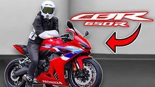 Honda CBR 650R (E-Clutch) Test Ride/Review | BEST 650 Sport Bike? | CBR650R vs GSX8R vs Ninja 65