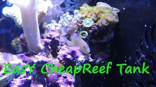 Easy Inexpensive Reef Tank PT1 Equipment