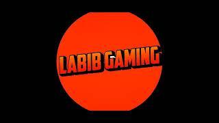 LABIB GAMER INTRO