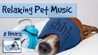 8 HOURS OF RELAX MY DOG MUSIC!! Longest Video Yet! Relaxing Pet Music, Soundsweep  RMD03