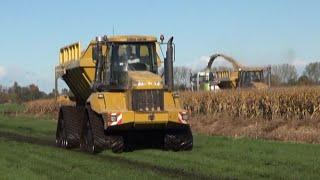 Maïs 2012 | Claas Jaguar 900 op rupsen en 2 Terra Gators 2104 voor de natte percelen |  Wet harvest