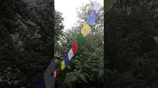 Windtänzer im Regen  wo ist denn eigentlich der Sommer?