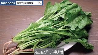 這6大蔬菜減肥超給力 吃了比飯還飽