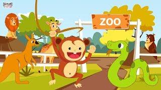 Let's Go To The Zoo Song | Animal Song for Kids By#catrackktv