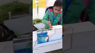 automatic rain detector and cloth collector// science exhibition #shorts