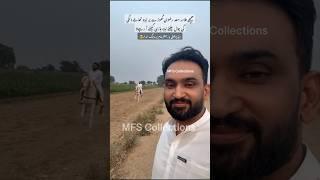 قائد ملت اسلامیہ| Hafiz Saad Hussain Rizvi | Status Shorts | #tentpegging #horseriding | Latest