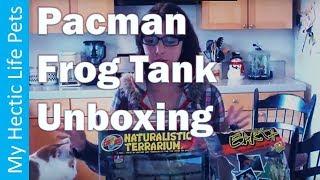 Pacman Frog Tank Unboxing and Set Up, Zoo Med Naturalistic Terrarium Unboxing