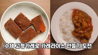 집에서 고형카레(aka 고체카레)를 만들어 봤습니다.