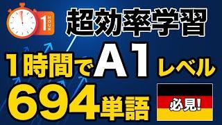 【超効率学習】たった1時間でドイツ語検定A1レベルを攻略！694単語マスター【必見】