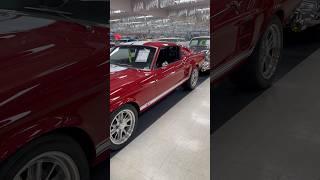 1967 Ford Mustang GT at Volo Museum Auto Sales