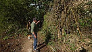 Uncovering a Hidden Entrance