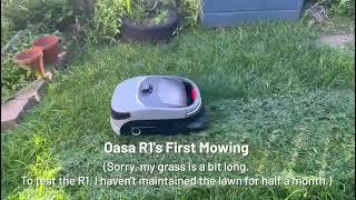 Oasa R1: The First and Best Robot Reel Mower