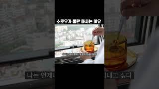 월든의 저자 헨리 데이빗 소로우가 물만 마시는 이유